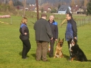 Training am Hundeplatz mit Guido und Fritz